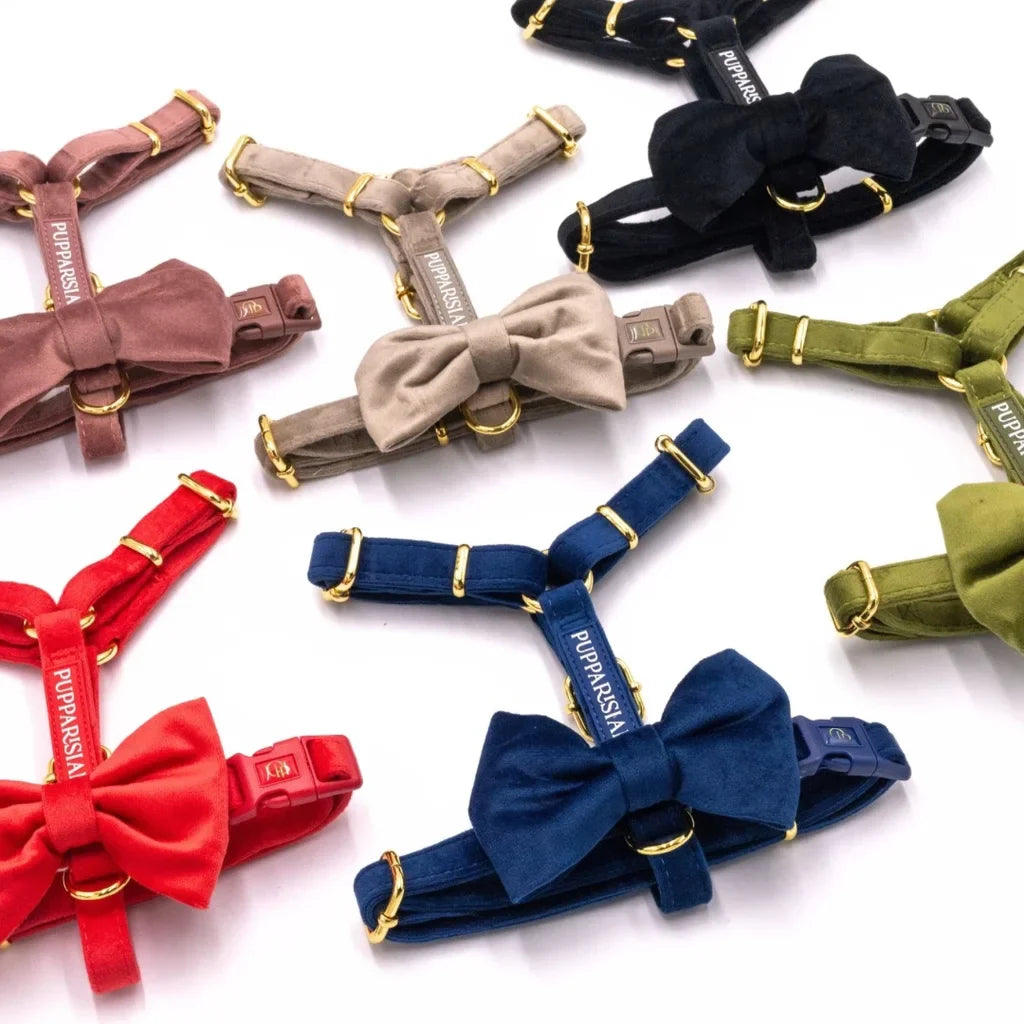 Sametový postroj typu guard pro psa 2.0 – červený