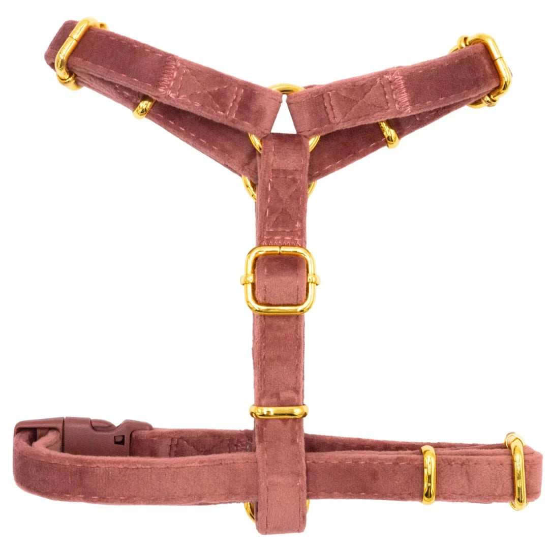 Samt-H-Geschirr – Altrosa