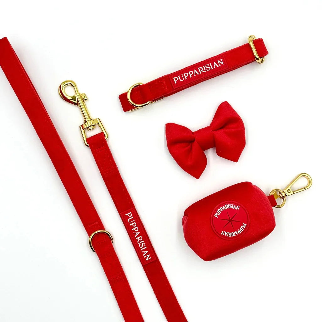 Klassische Samt-Hundeleine 190 cm – Rot