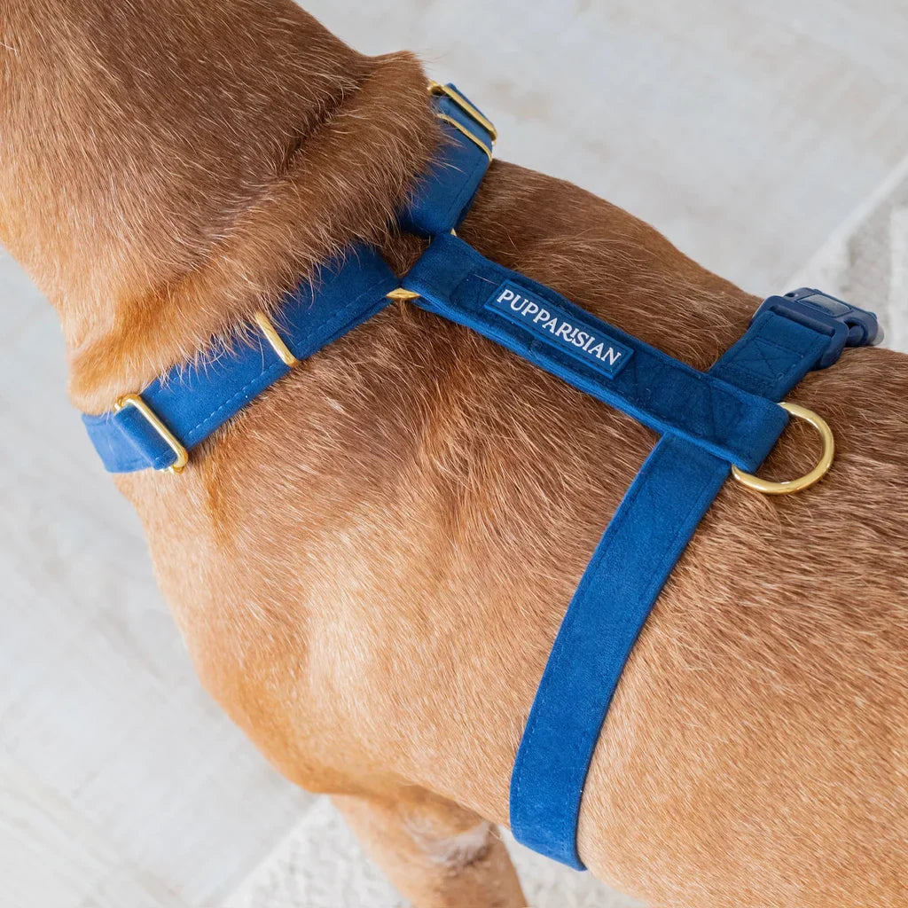 H-Geschirre für Hunde