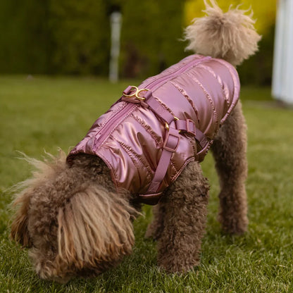 Winter-Hundemantel 2-in-1 (Gefüttert & Wasserfest) mit Geschirr – Rosa