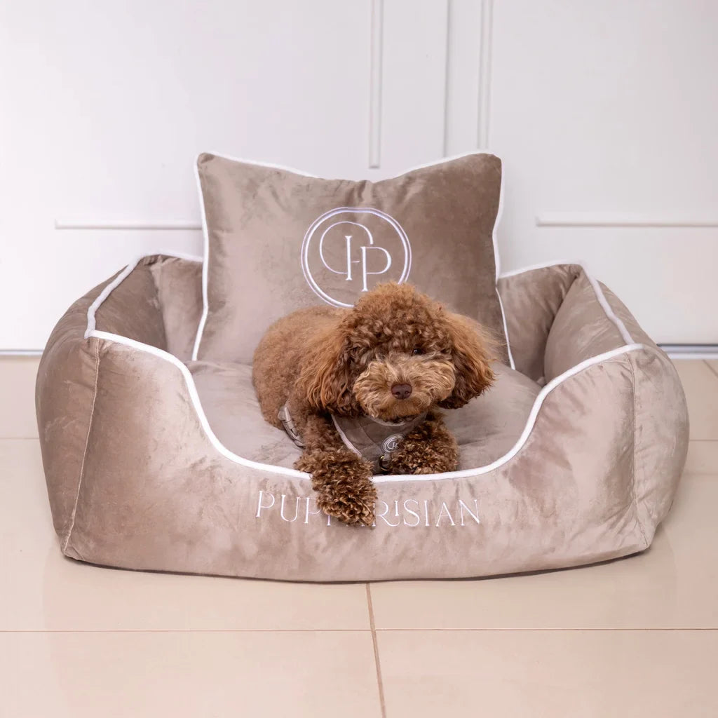 Hundebett aus Samt – Beige