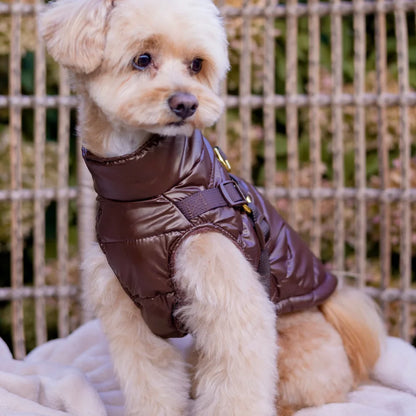 Winter-Hundemantel 2-in-1 (Gefüttert & Wasserfest) mit Geschirr – Braun