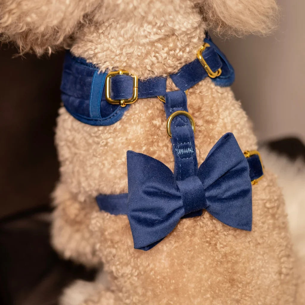 Druckfreies Hundegeschirr aus Samt – Dunkelblau