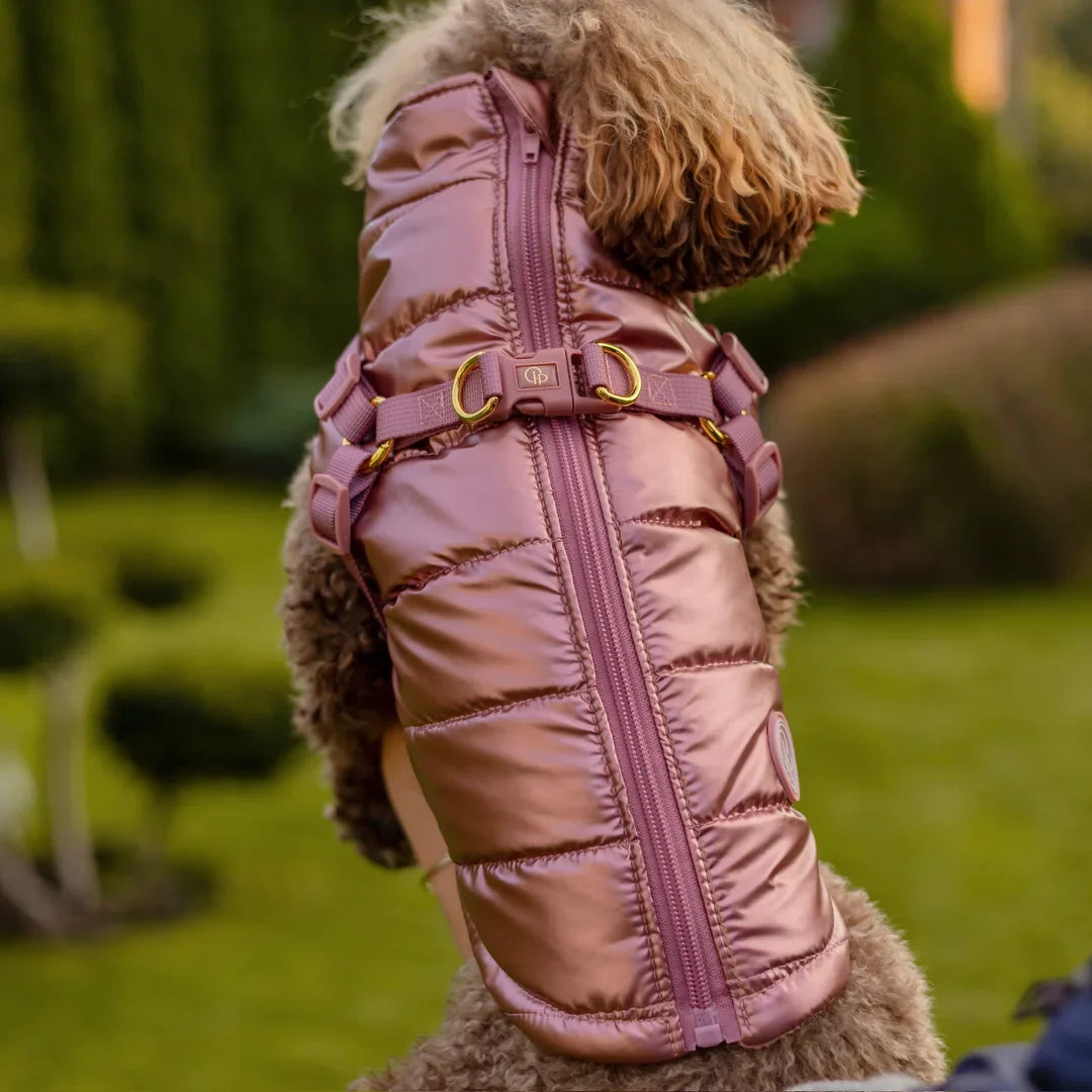 Winter-Hundemantel 2-in-1 (Gefüttert & Wasserfest) mit Geschirr – Rosa