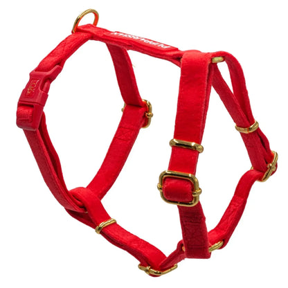 Samt-H-Geschirr mit Schleife – Rot