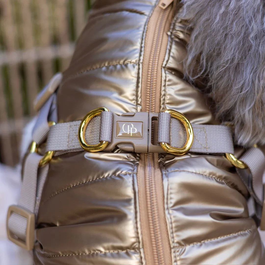 Winter-Hundemantel 2-in-1 (Gefüttert & Wasserfest) mit Geschirr – Gold