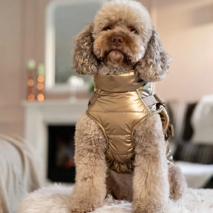 Winter-Hundemantel 2-in-1 (Gefüttert & Wasserfest) mit Geschirr – Gold