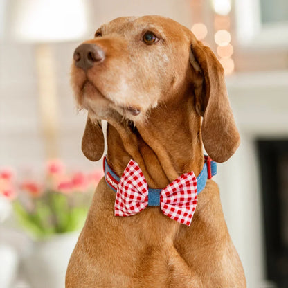 Hundehalsband mit Fliege – Jeans
