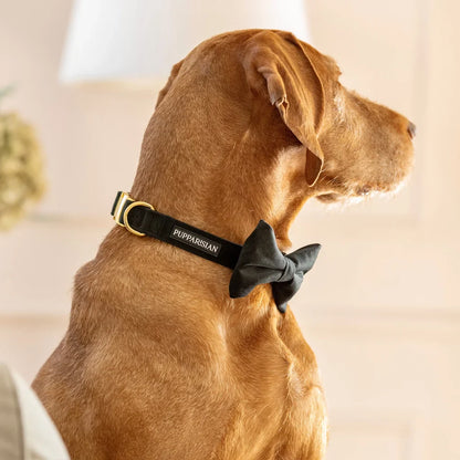Samt-Halsband mit Fliege – Schwarz