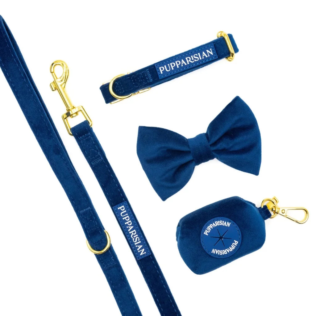 Samt-Halsband mit Fliege – Dunkelblau