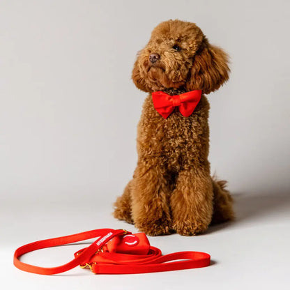 Samt-Halsband mit Fliege – Rot