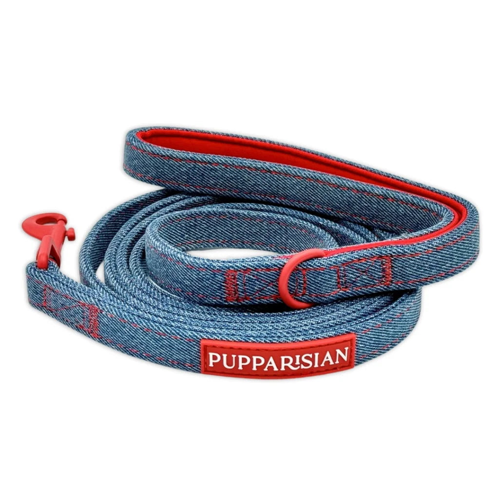 Klassische Hundeleine 190 cm – Jeans