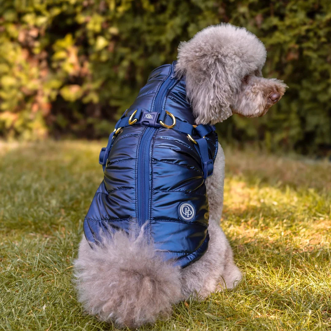 Winter-Hundemantel 2-in-1 (Gefüttert & Wasserfest) mit Geschirr – Dunkelblau