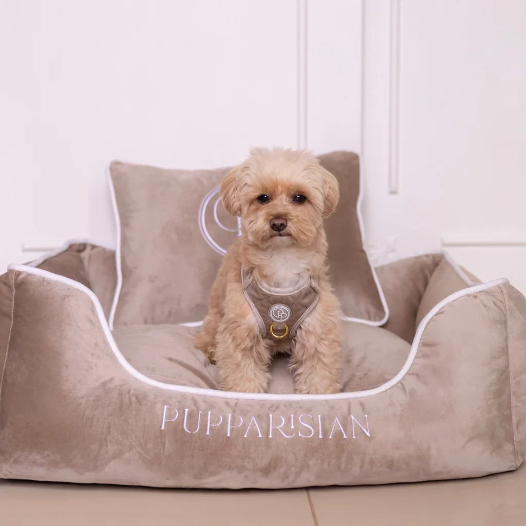 Hundebett aus Samt – Beige