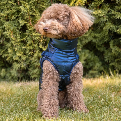 Winter-Hundemantel 2-in-1 (Gefüttert & Wasserfest) mit Geschirr – Dunkelblau