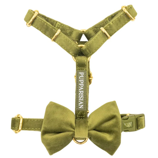 Samt-H-Geschirr mit Schleife – Olivgrün