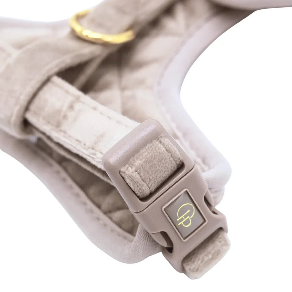 Druckfreies Hundegeschirr aus Samt – Beige