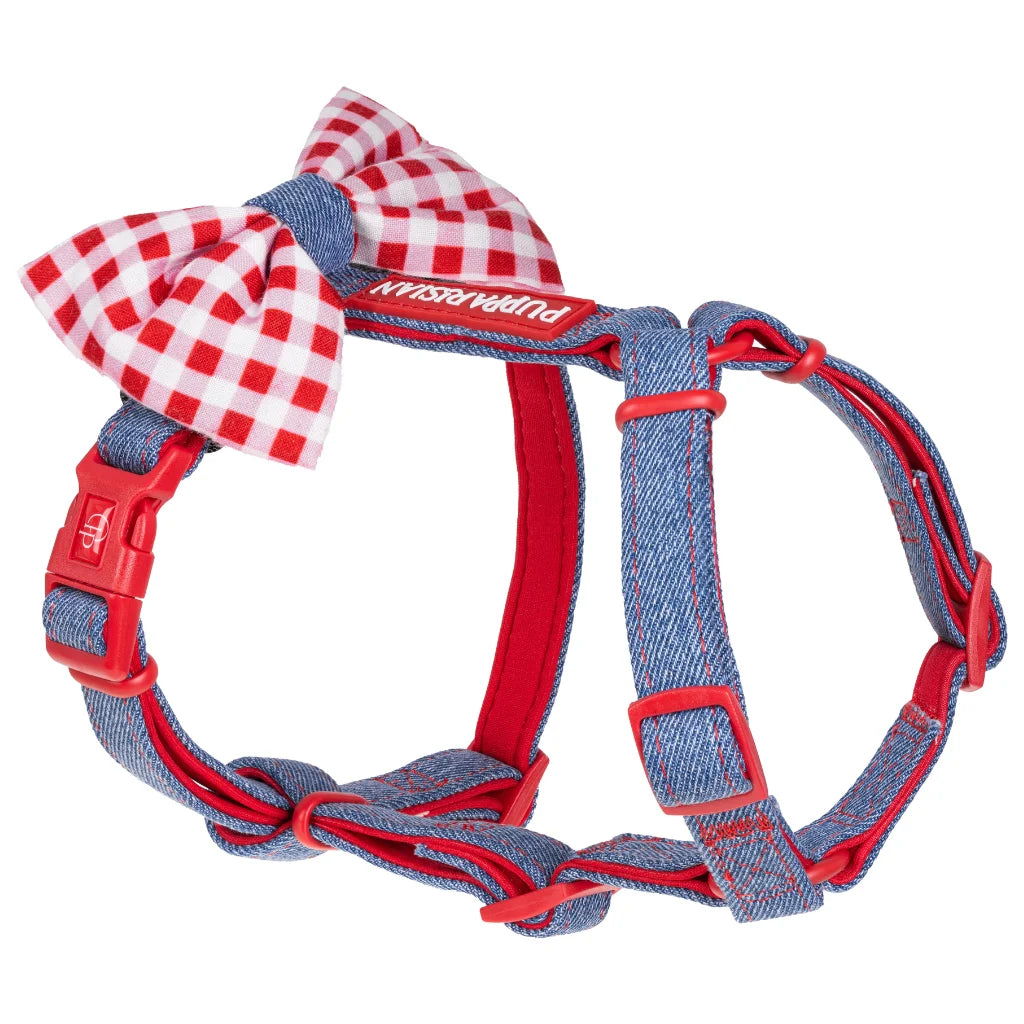 H-Geschirr mit Schleife – Jeans