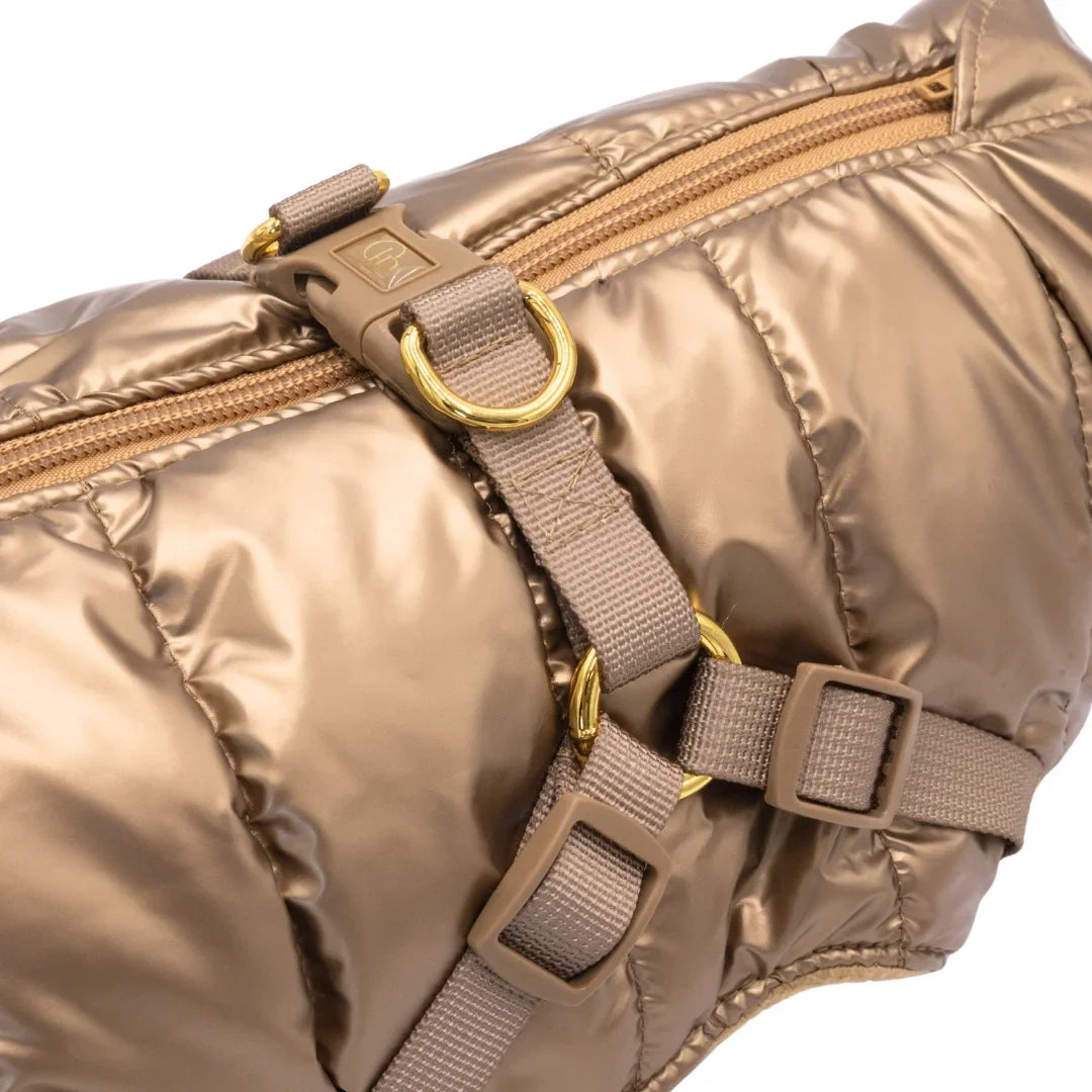 Winter-Hundemantel 2-in-1 (Gefüttert & Wasserfest) mit Geschirr – Gold