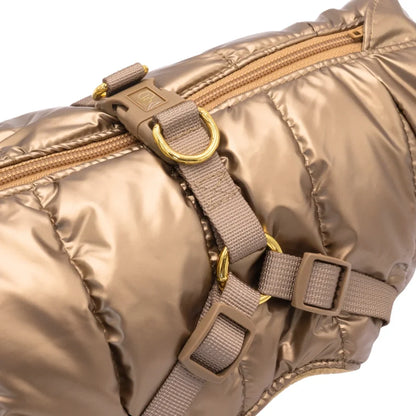 Winter-Hundemantel 2-in-1 (Gefüttert & Wasserfest) mit Geschirr – Gold