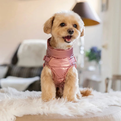 Winter-Hundemantel 2-in-1 (Gefüttert & Wasserfest) mit Geschirr – Rosa