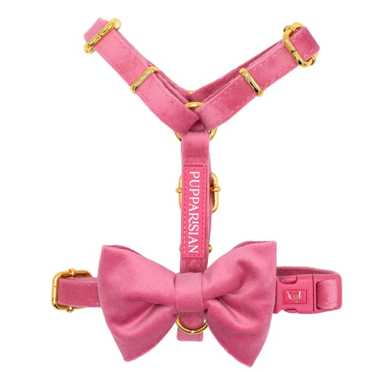 Samt-H-Geschirr mit Schleife – Rosa