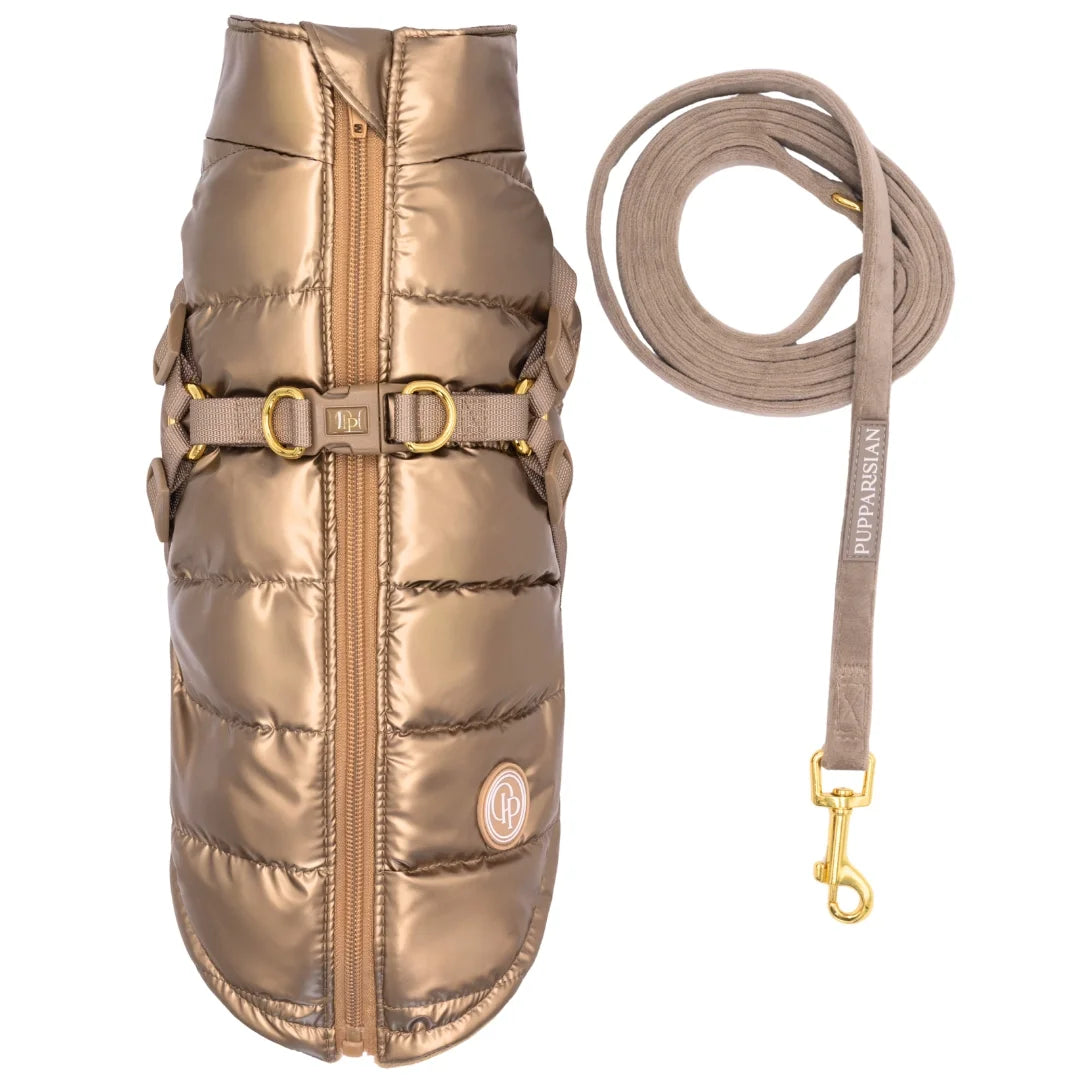 Winter-Hundemantel 2-in-1 (Gefüttert & Wasserfest) mit Geschirr – Gold