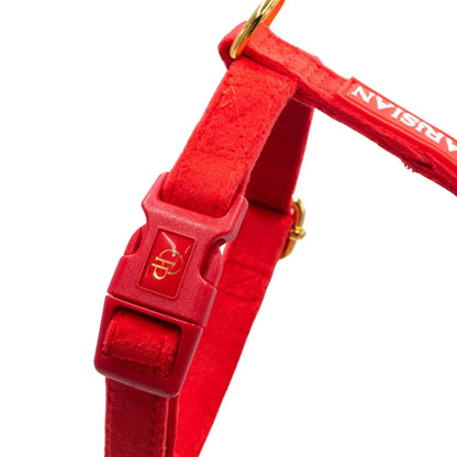 Samt-H-Geschirr mit Schleife – Rot