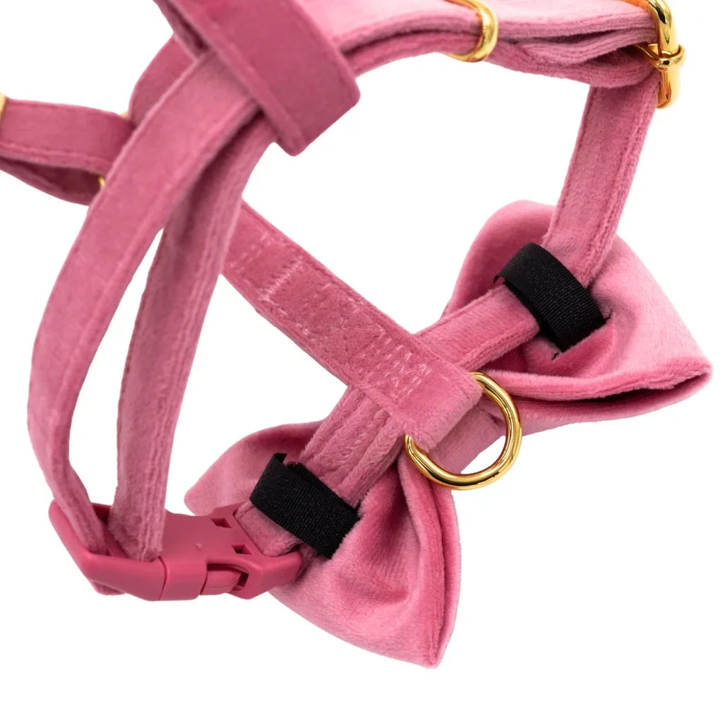 Hundefliege aus Samt – Rosa