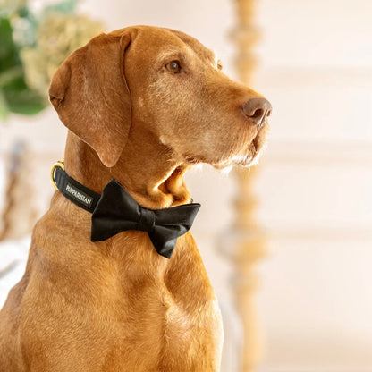 Samt-Halsband mit Fliege – Schwarz