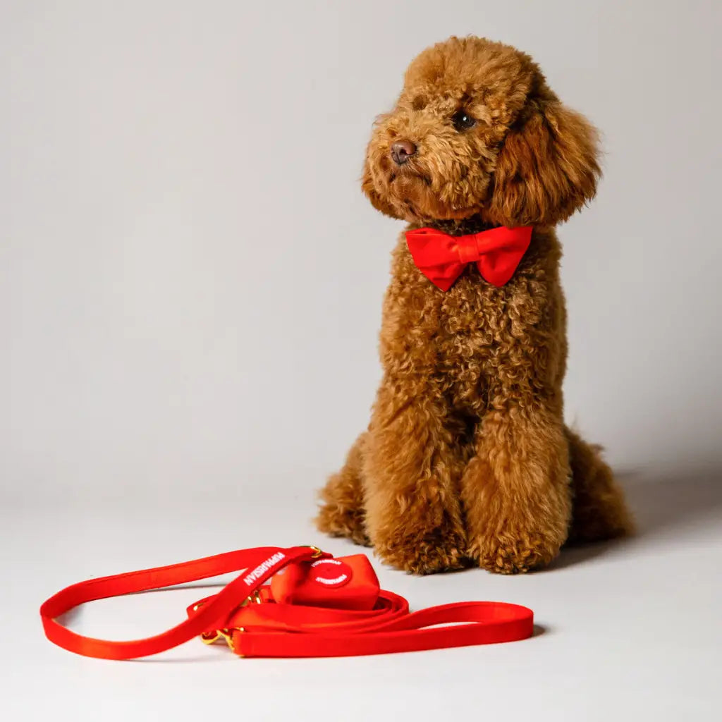 Samt-Halsband – Rot