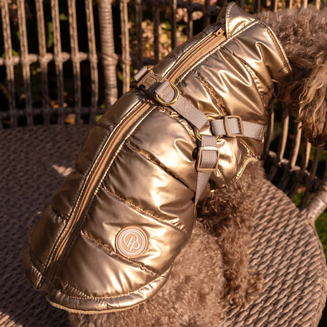 Winter-Hundemantel 2-in-1 (Gefüttert & Wasserfest) mit Geschirr – Gold