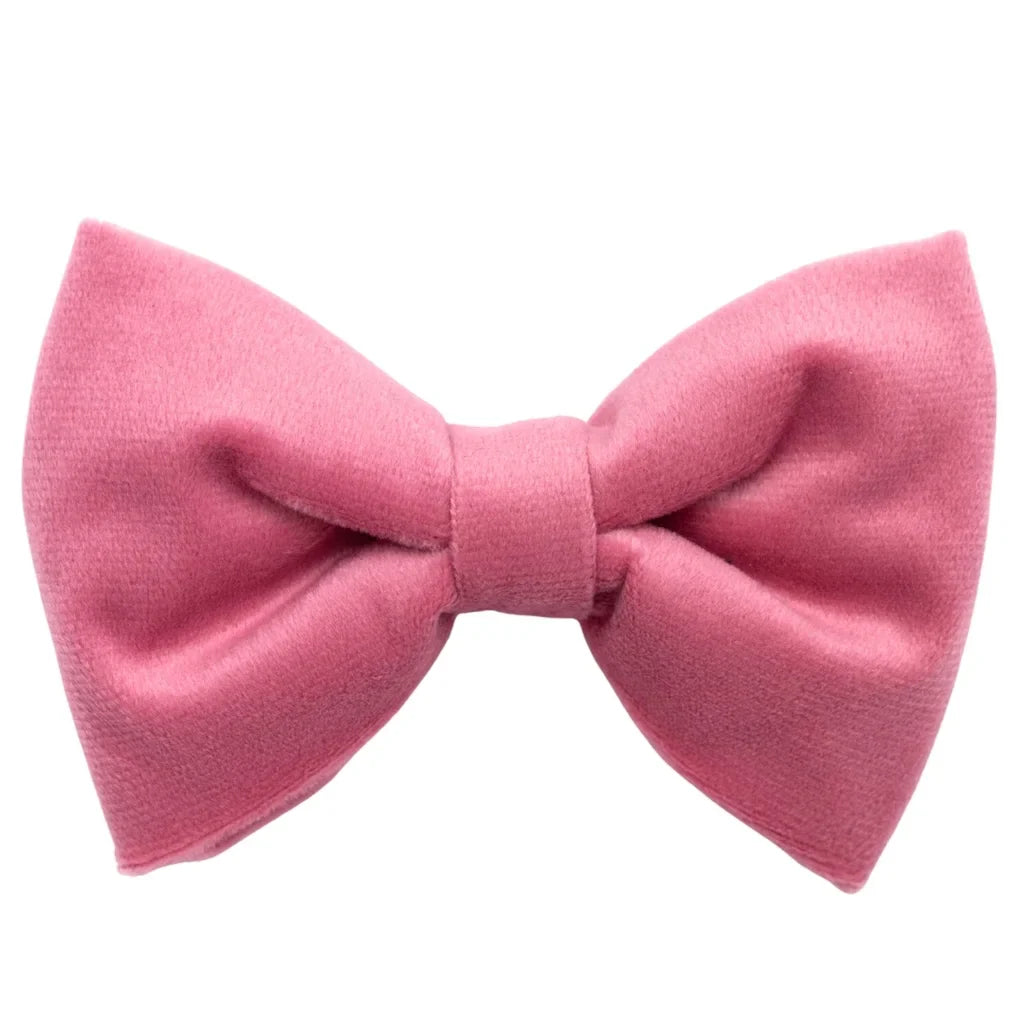 Samt-Hundehalsband mit Fliege – Rosa