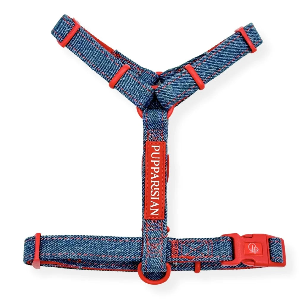 H-Geschirr – Jeans