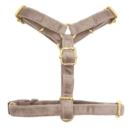 Samt-H-Geschirr – Beige