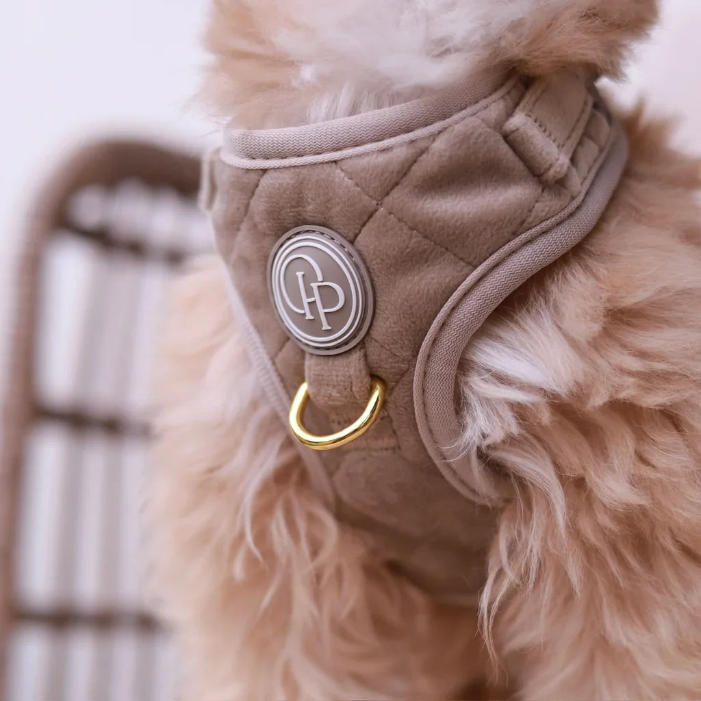 Druckfreies Hundegeschirr aus Samt – Beige