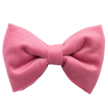Hundefliege aus Samt – Rosa