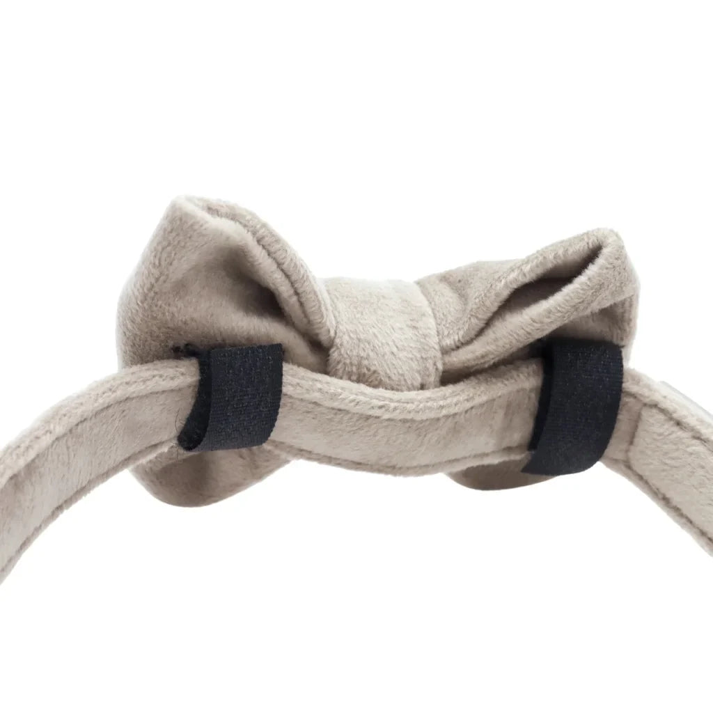 Hundefliege aus Samt – Beige