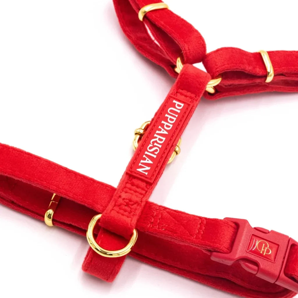 Samt-H-Geschirr mit Schleife – Rot