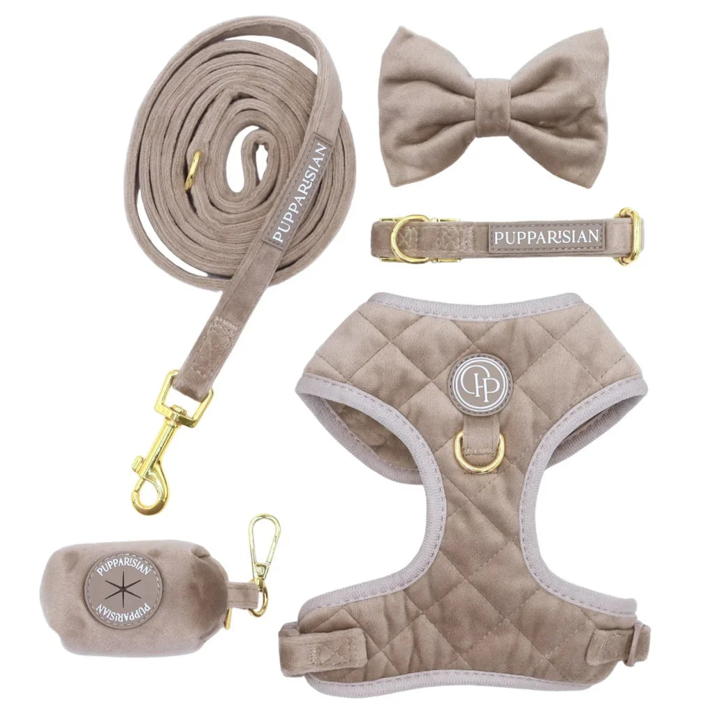 Klassische Samt-Hundeleine 190 cm – Beige