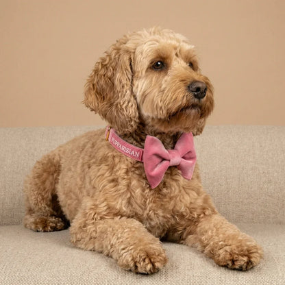 Samt-Hundehalsband mit Fliege – Rosa