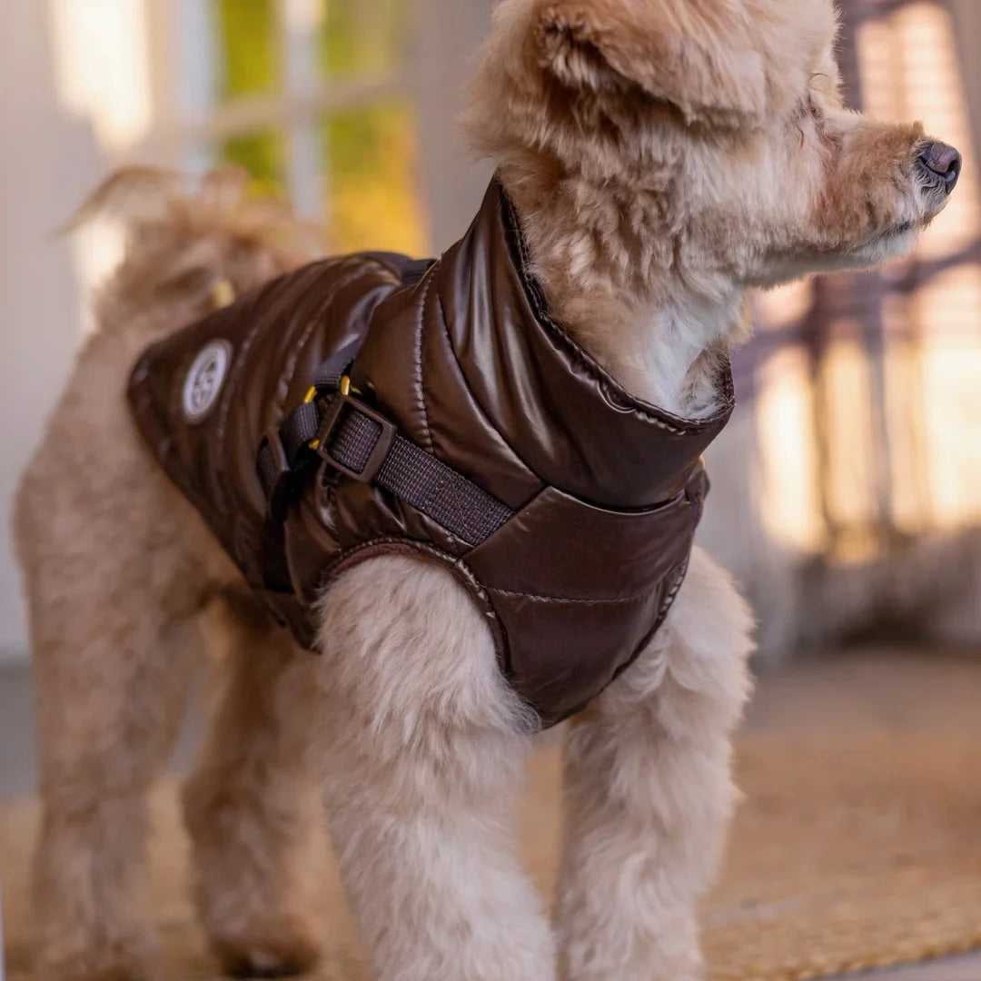 Winter-Hundemantel 2-in-1 (Gefüttert & Wasserfest) mit Geschirr – Braun