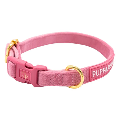 Samt-Hundehalsband mit Fliege – Rosa