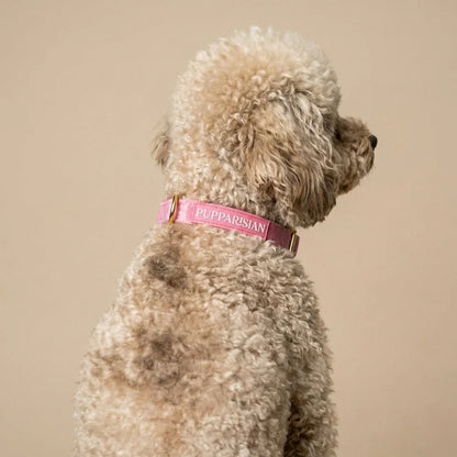 Samt-Hundehalsband mit Fliege – Rosa