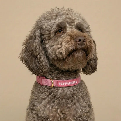 Samt-Hundehalsband – Rosa