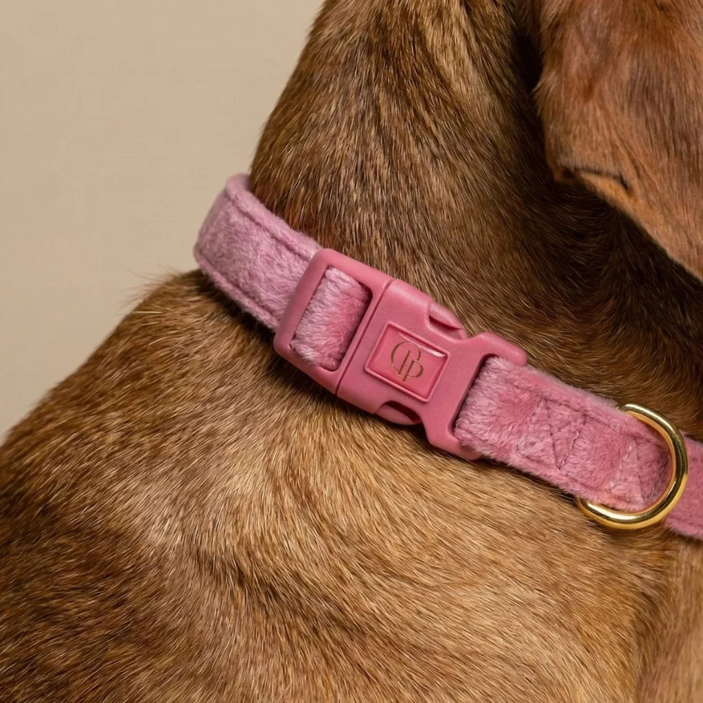 Samt-Hundehalsband mit Fliege – Rosa