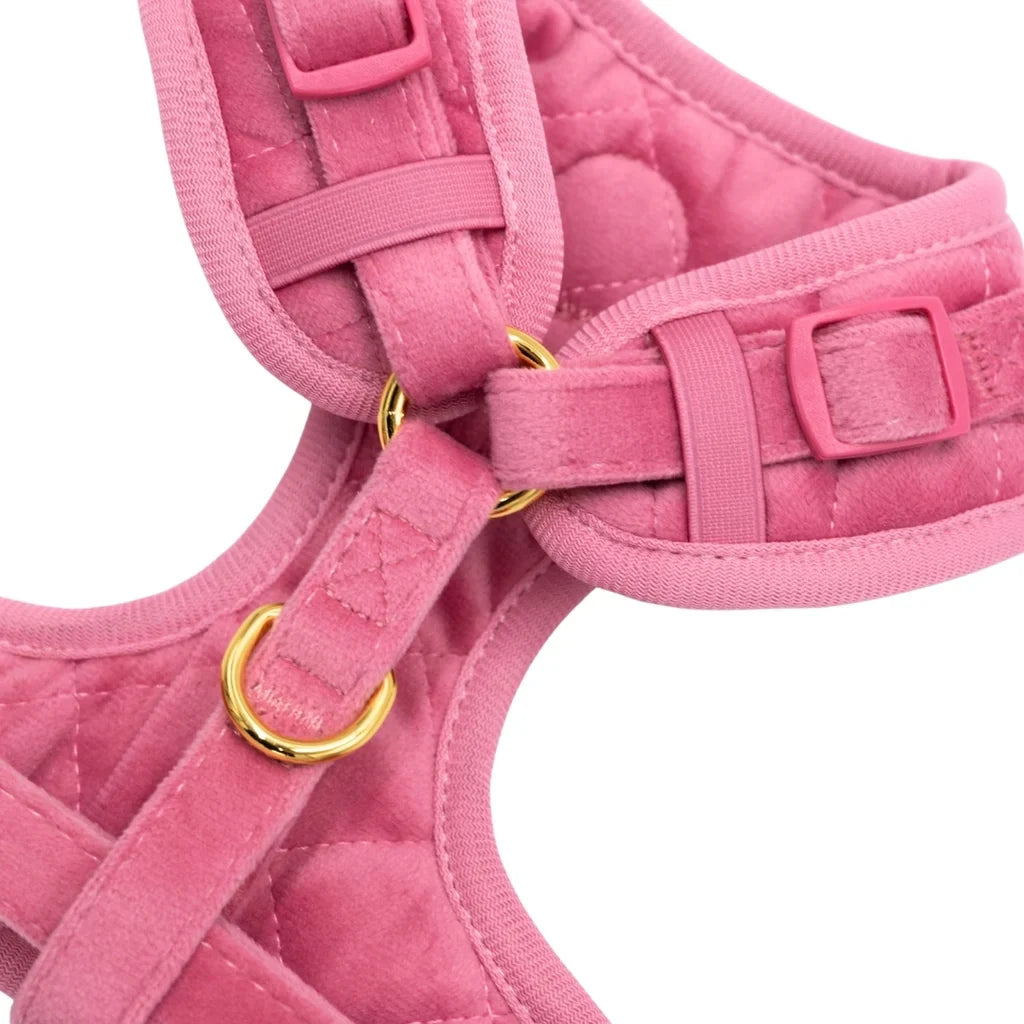 Druckfreies Hundegeschirr aus Samt – Rosa