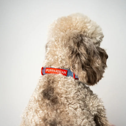 Hundehalsband mit Fliege – Jeans