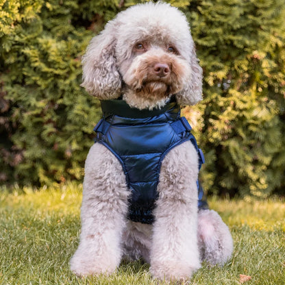 Winter-Hundemantel 2-in-1 (Gefüttert & Wasserfest) mit Geschirr – Dunkelblau